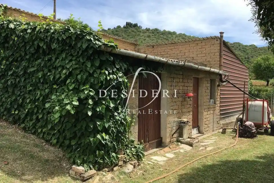 Rustico - Casale in vendita a Cinigiano