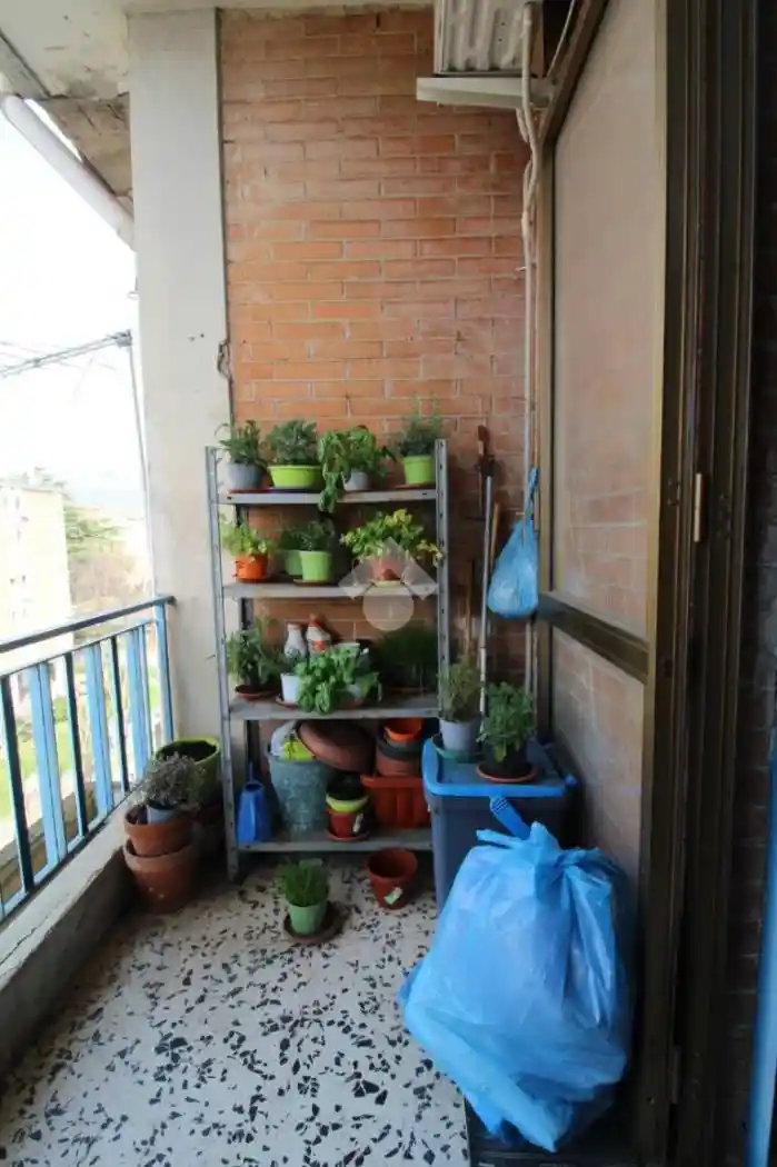 Quadrilocale via Eleuterio Ruggiero 82, Corso Trieste, Caserta - foto 5