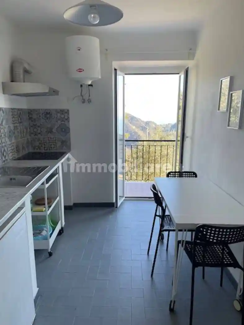 Trilocale Località Drignana, Vernazza - foto 4