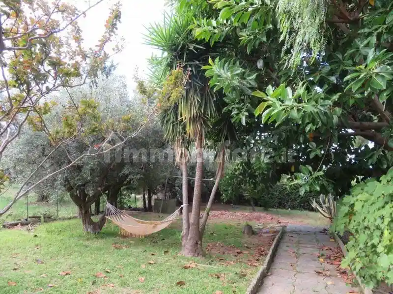 Trilocale LocalitÃ  Maiolino, Gizzeria - foto 5