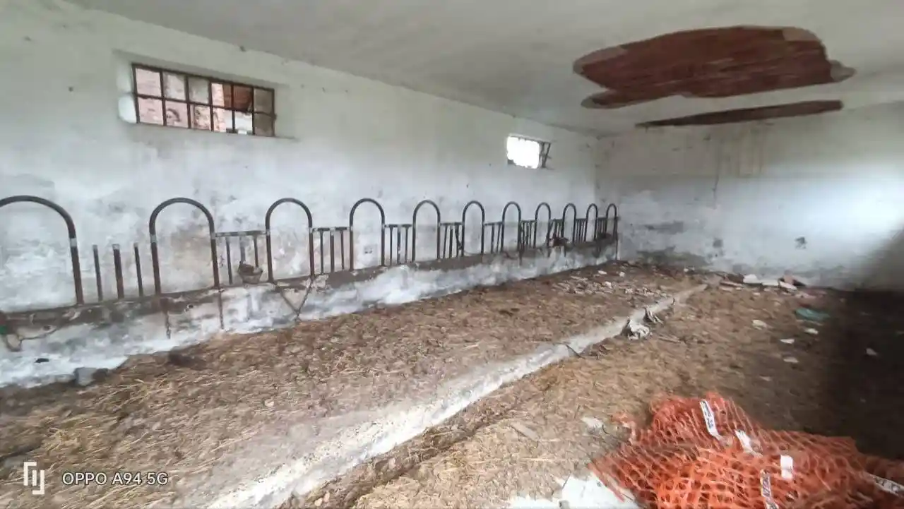 Casale Località Tacconotti, Frascaro - foto 4