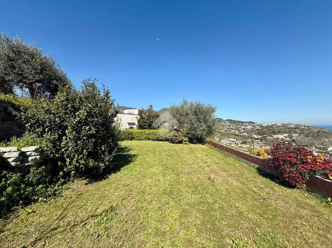 Bilocale via Chiummano 53, Barano d'Ischia - foto 2