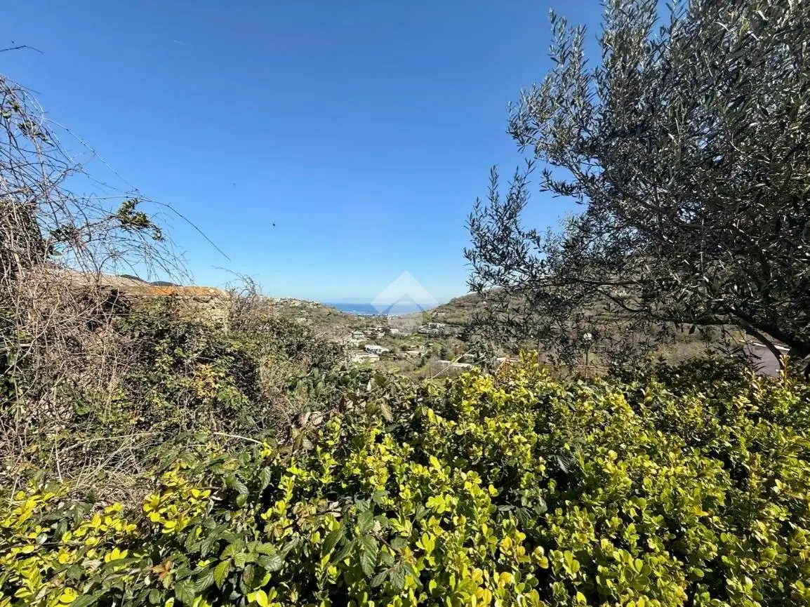 Bilocale via Chiummano 53, Barano d'Ischia - foto 5