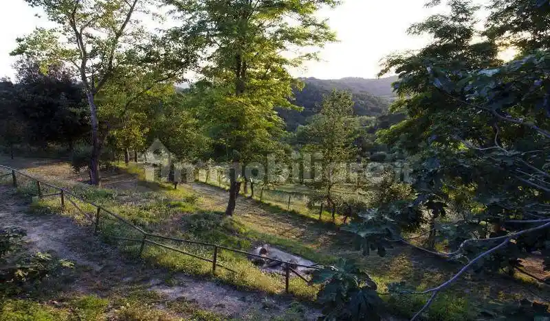 Monolocale via di Montecastello,, Montecastello, Treggiaia, I Fabbri, Pontedera - foto 4