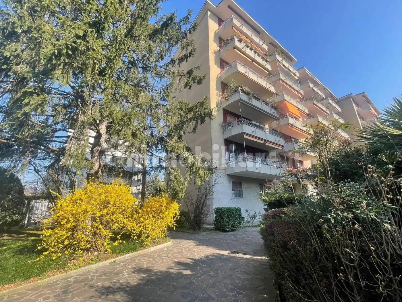 Appartamento in affitto a Monza