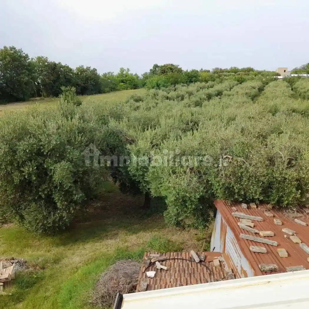 Villa unifamiliare via San Pietro, 54, San Pietro, Ari - foto 3