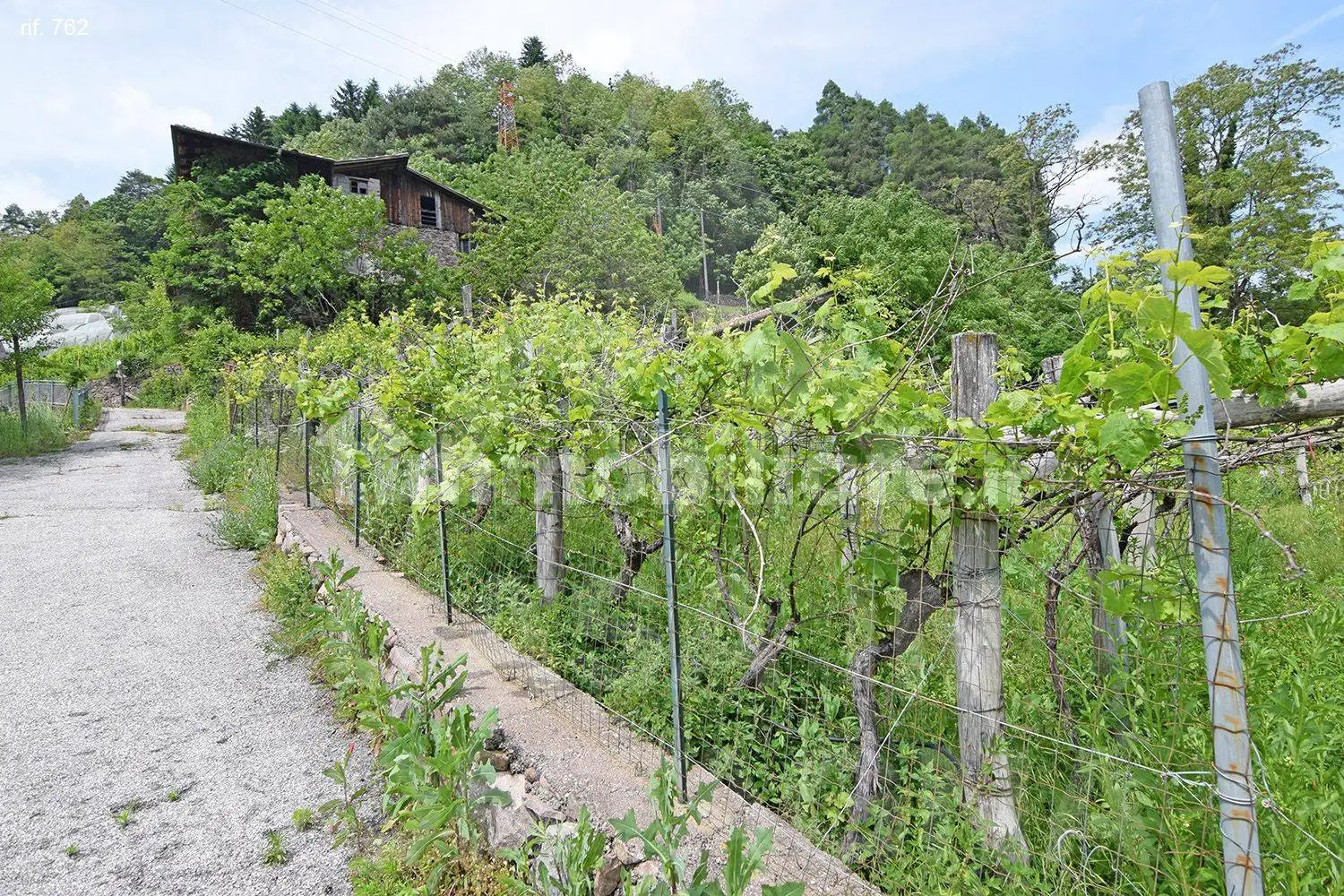 Rustico Località Rio, Altavalle - foto 3