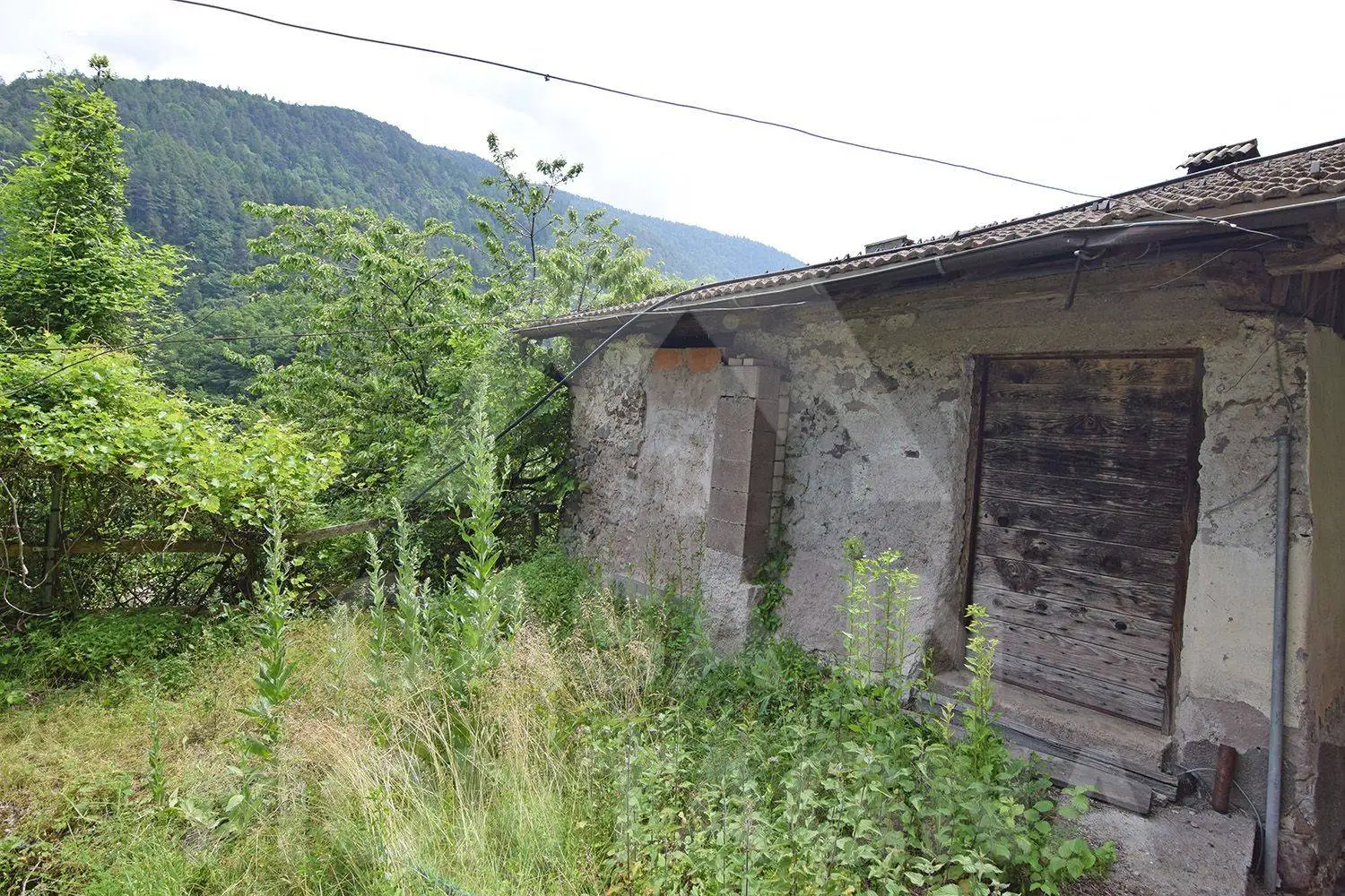 Rustico Località Rio, Altavalle - foto 5