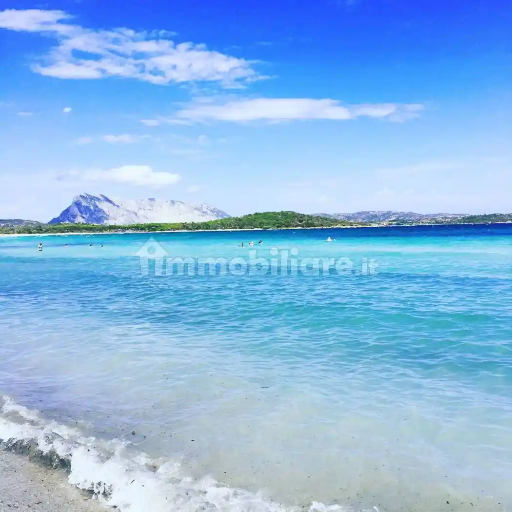 Villa in vendita a San Teodoro