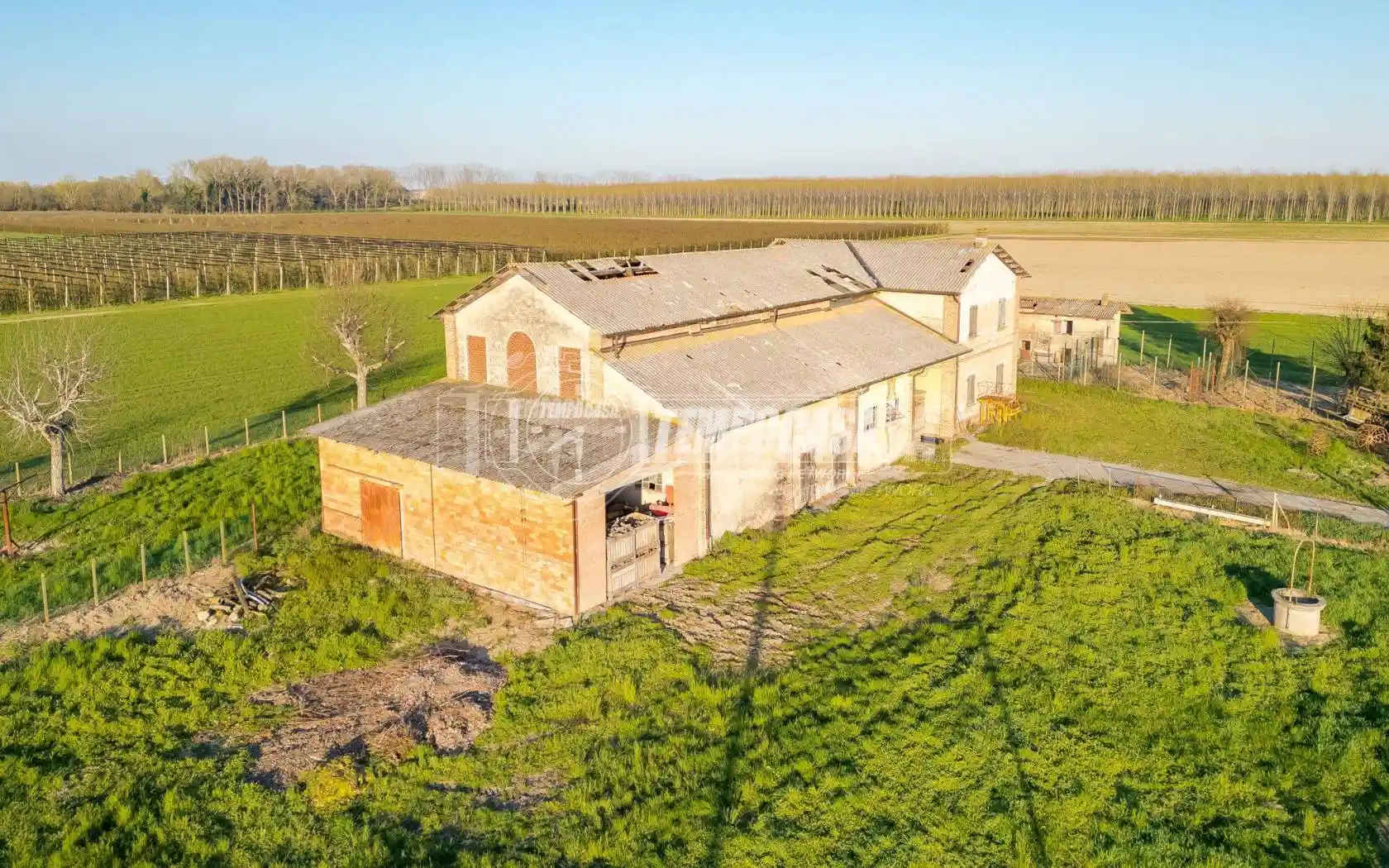 Rustico - Casale - foto 5