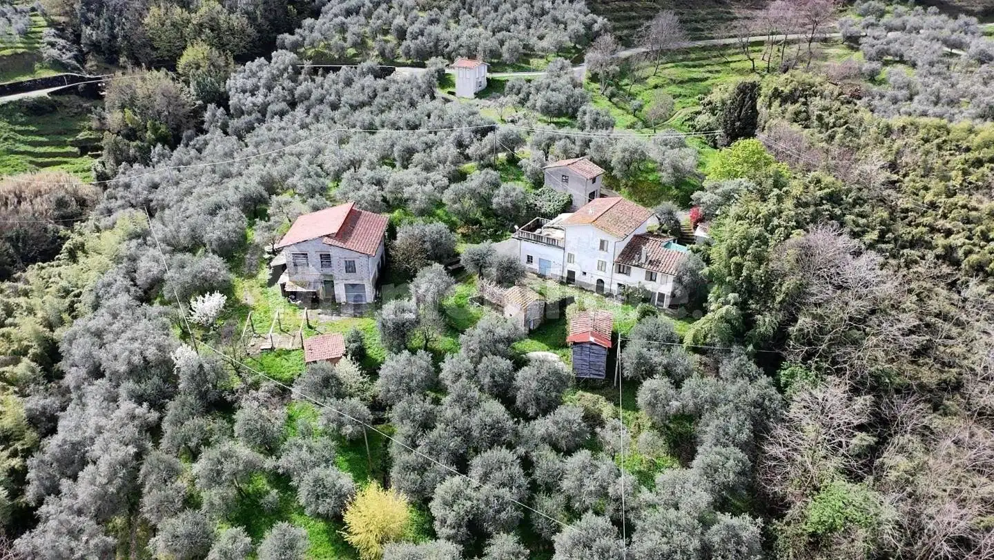 Rustico - Casale in vendita a Lucca