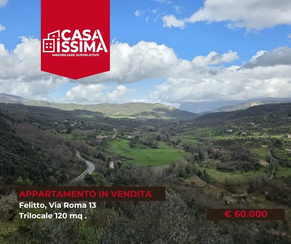 Appartamento in vendita a Felitto