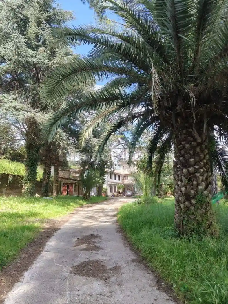 Villa in vendita a Velletri