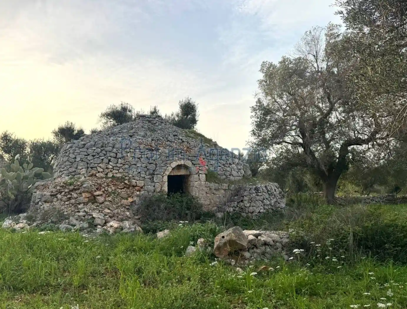 Rustico - Casale in vendita a Carovigno