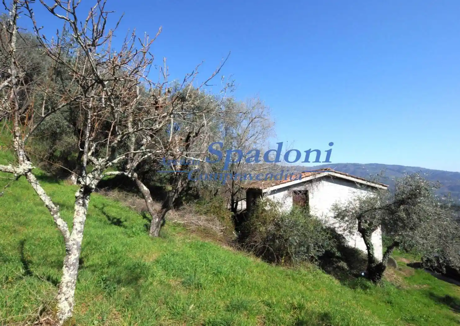 Rustico - Casale in vendita a Montecatini-Terme