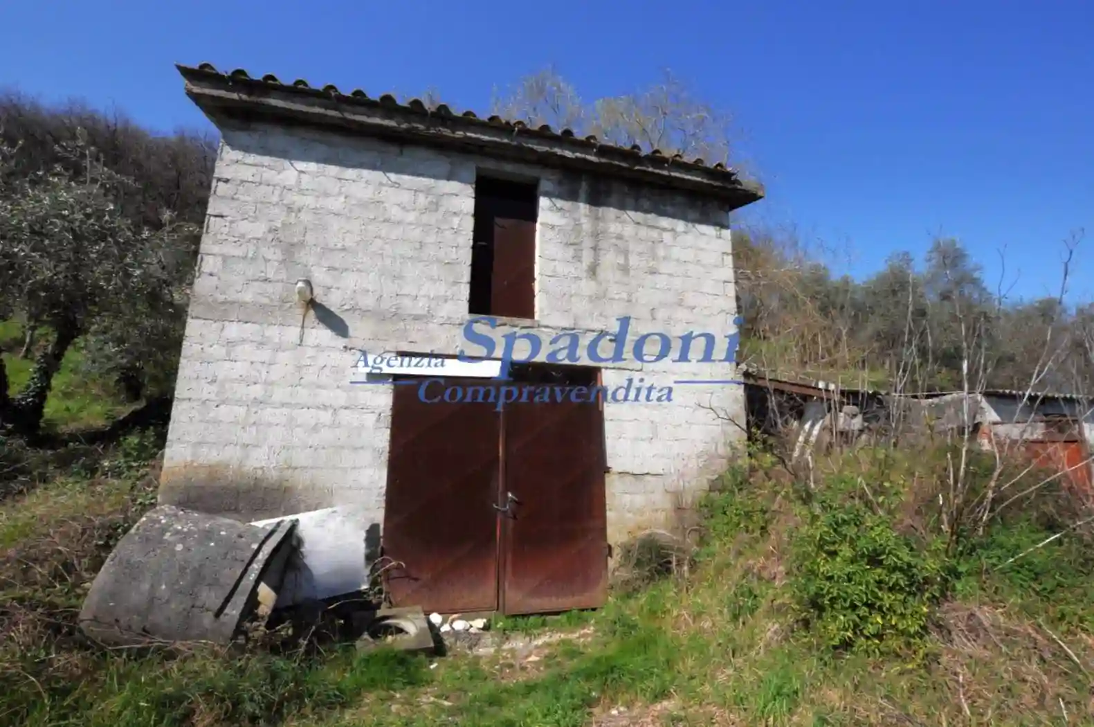 Rustico - Casale - foto 3