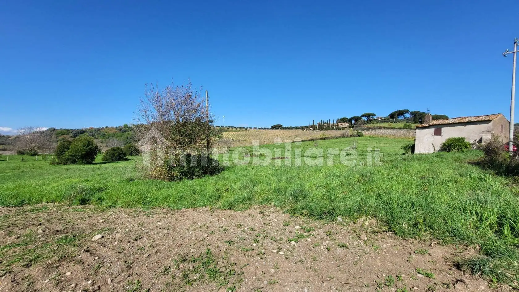 Rustico - Casale in vendita a Grottaferrata