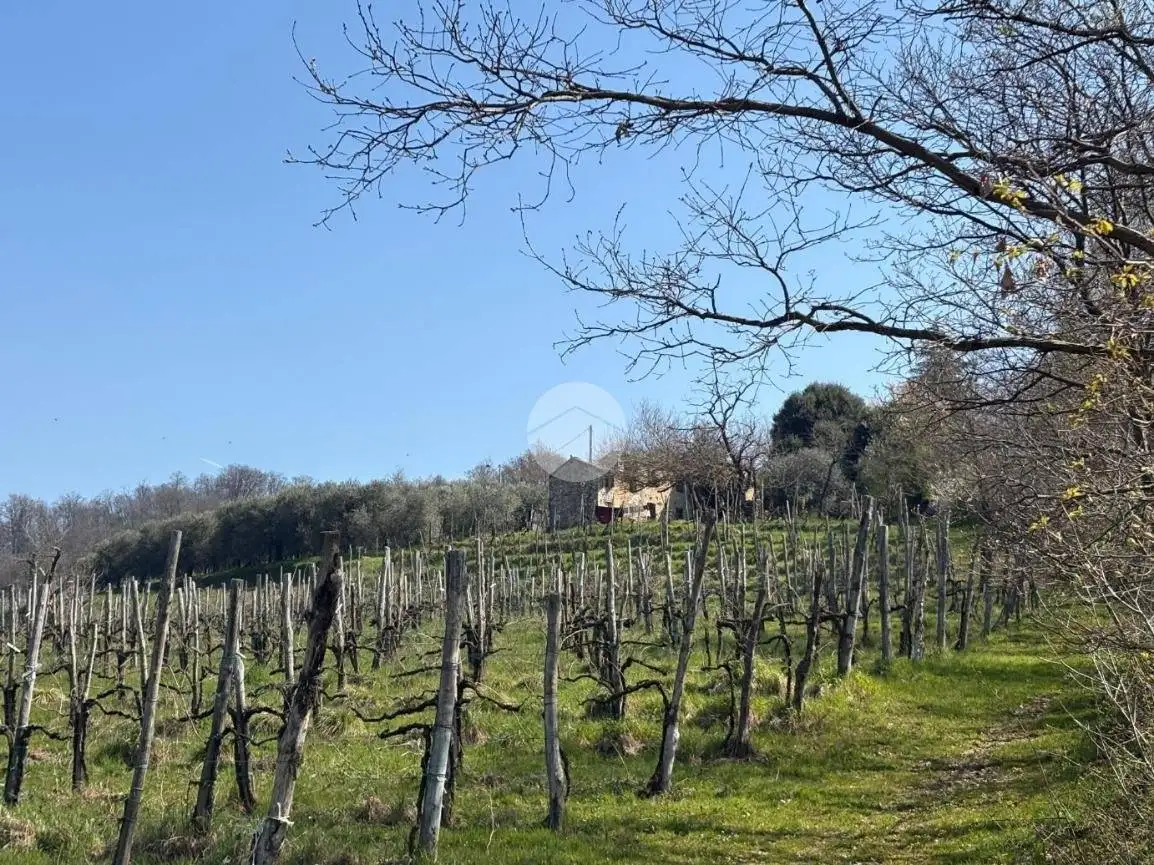Rustico - Casale in vendita a Cinto Euganeo