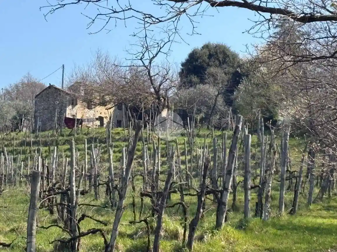 Rustico via Pedevenda 1, Cinto Euganeo - foto 2