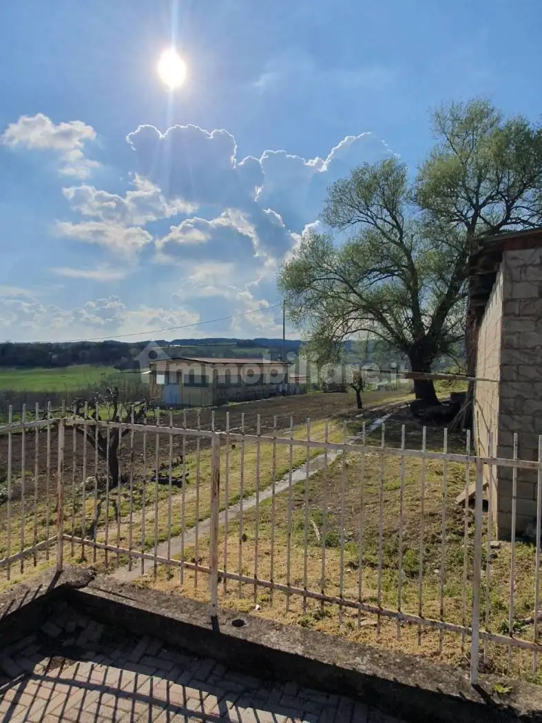 Villa plurifamiliare via Roma 15, Castelletto Merli - foto 3