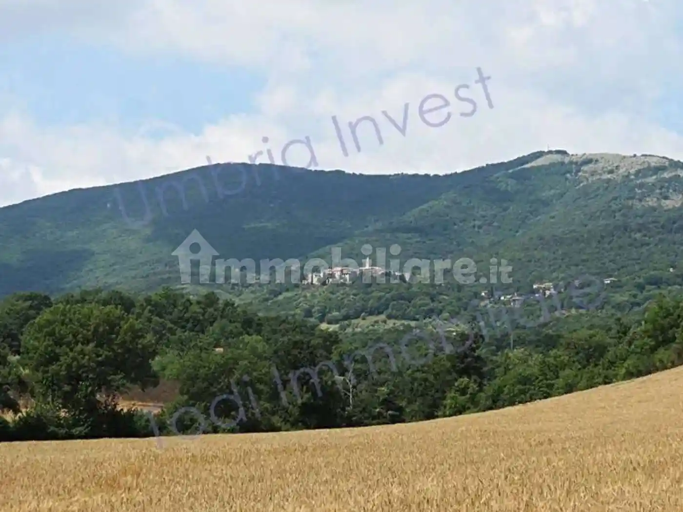 Rustico - Casale in vendita a Montecchio