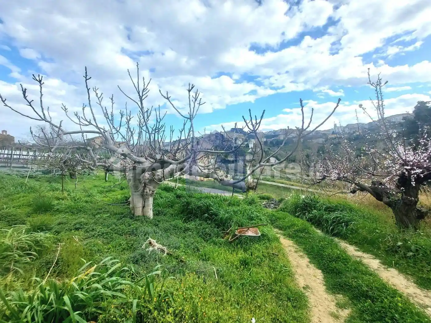 Villa unifamiliare via Soringello 11, Atessa - foto 3