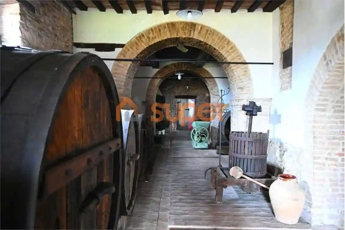 Palazzo - Edificio - foto 3