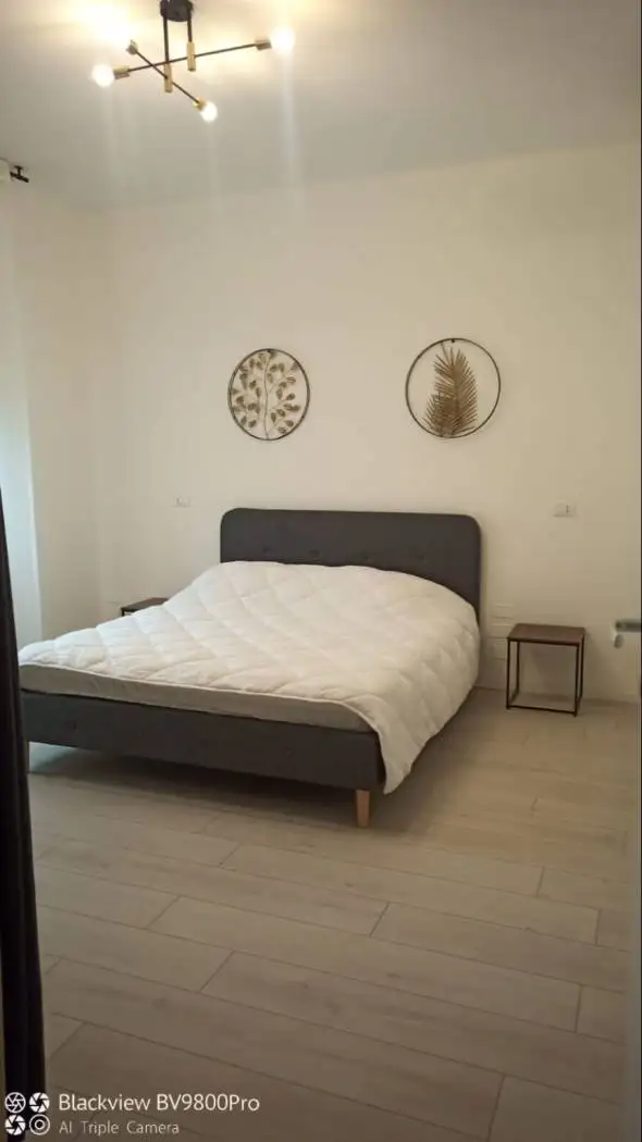 Appartamento in affitto a Bologna