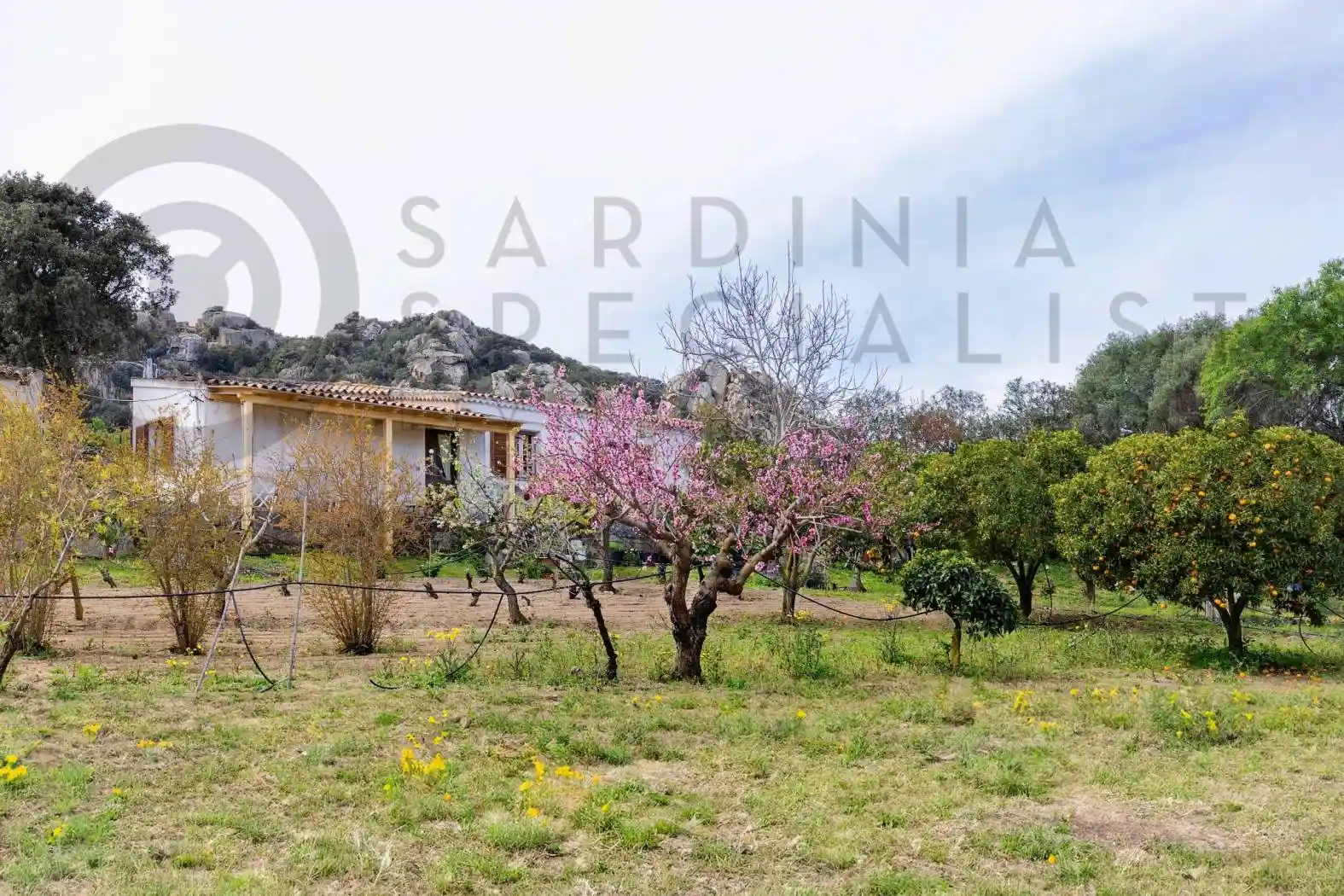 Casale via Monti Diana 22, San Giovanni, Sole Ruiu, Olbia - foto 4