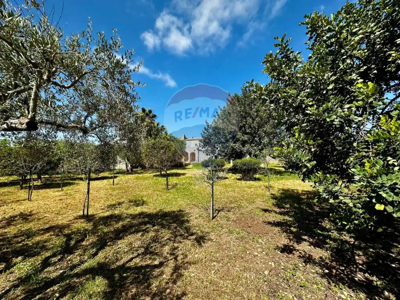 Rustico C.da Torre Finocchiara snc, Cannizzara, Modica - foto 3