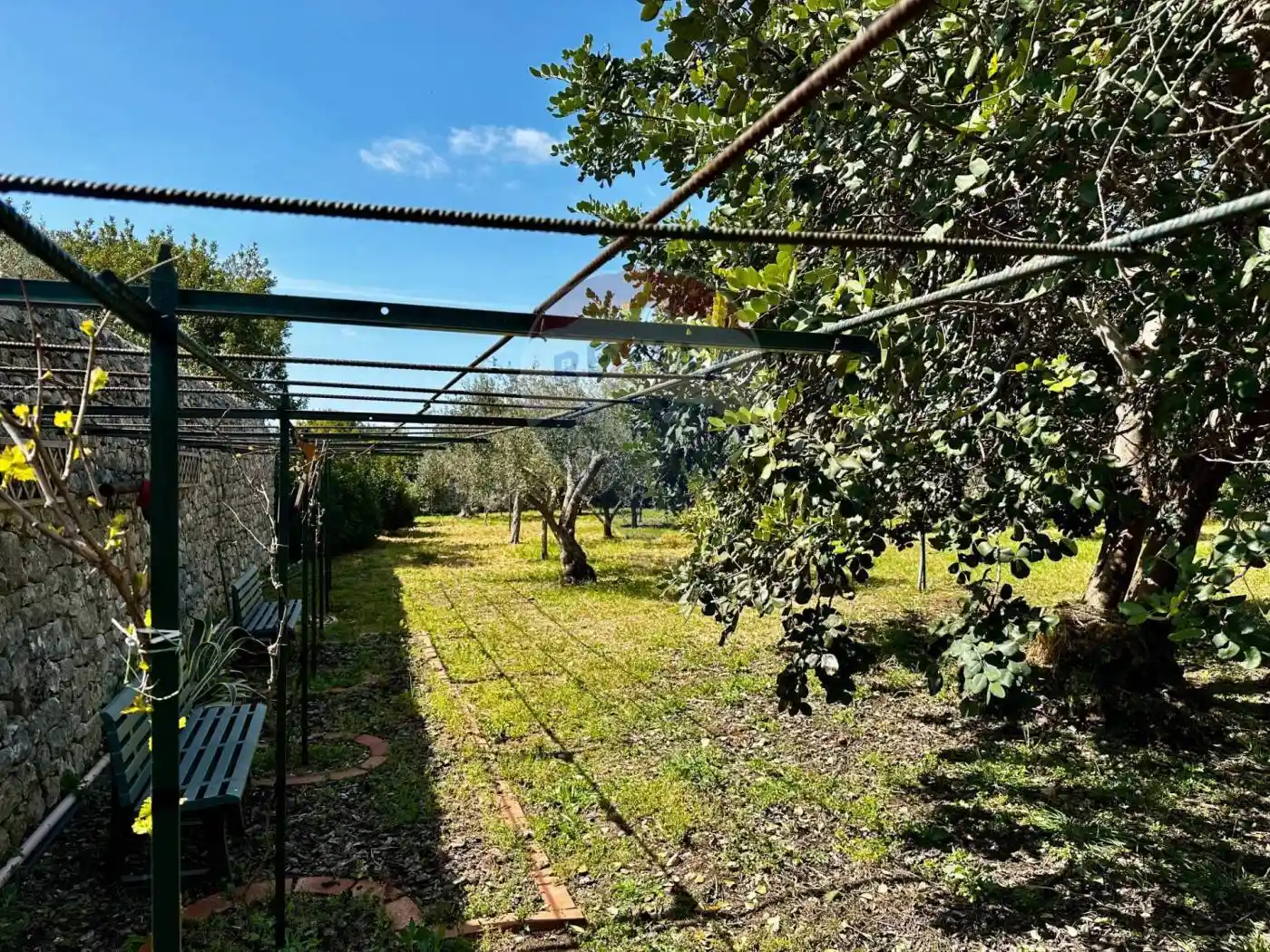 Rustico C.da Torre Finocchiara snc, Cannizzara, Modica - foto 4