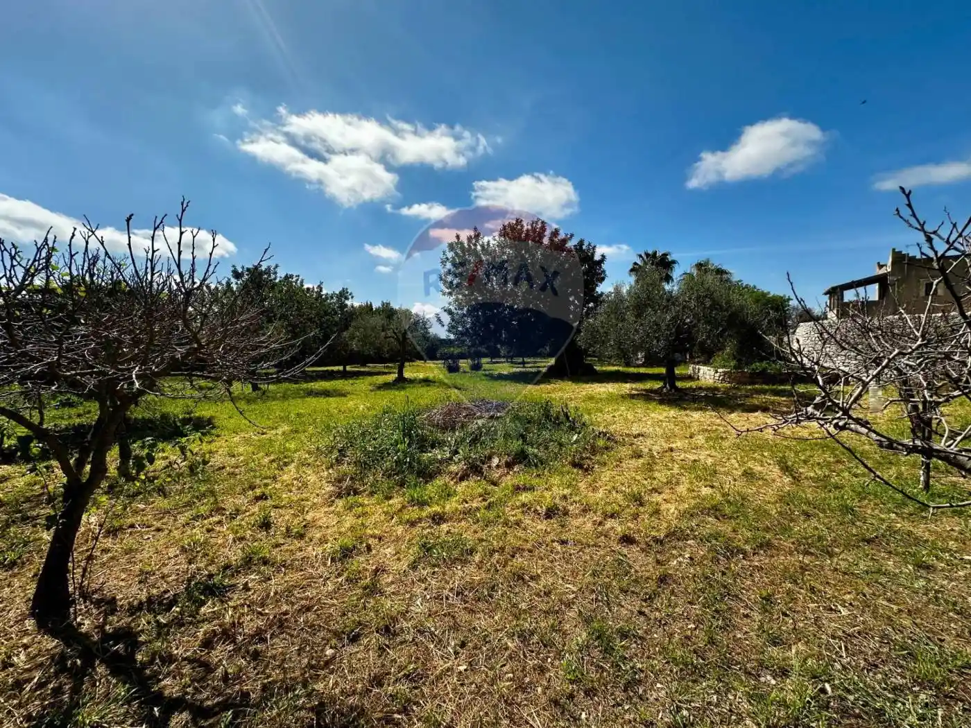 Rustico C.da Torre Finocchiara snc, Cannizzara, Modica - foto 5