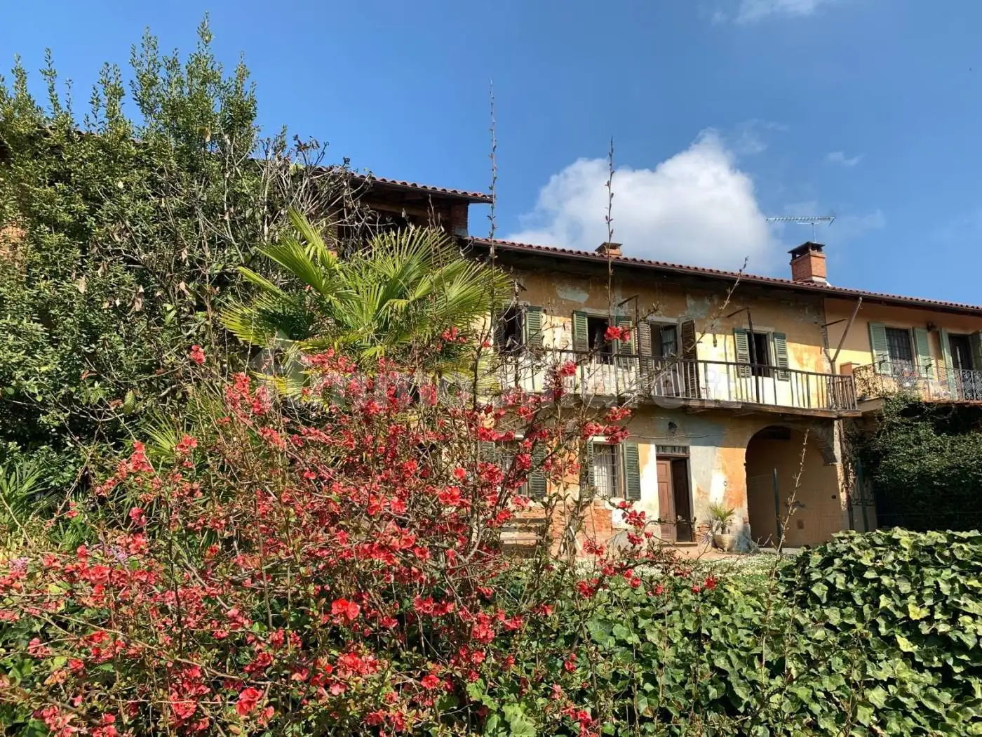 Rustico - Casale in vendita a Montaldo Torinese