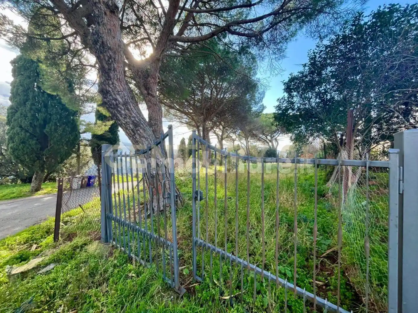 Appartamento in vendita a Scansano