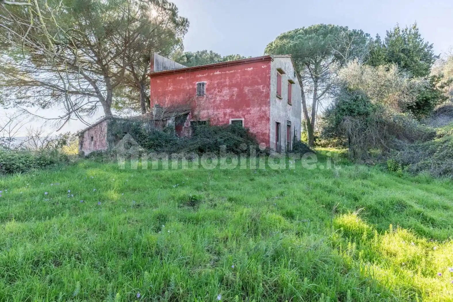 Rustico - Casale in vendita a Peccioli