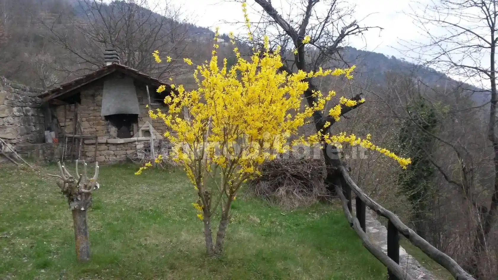 Palazzo - Edificio - foto 2