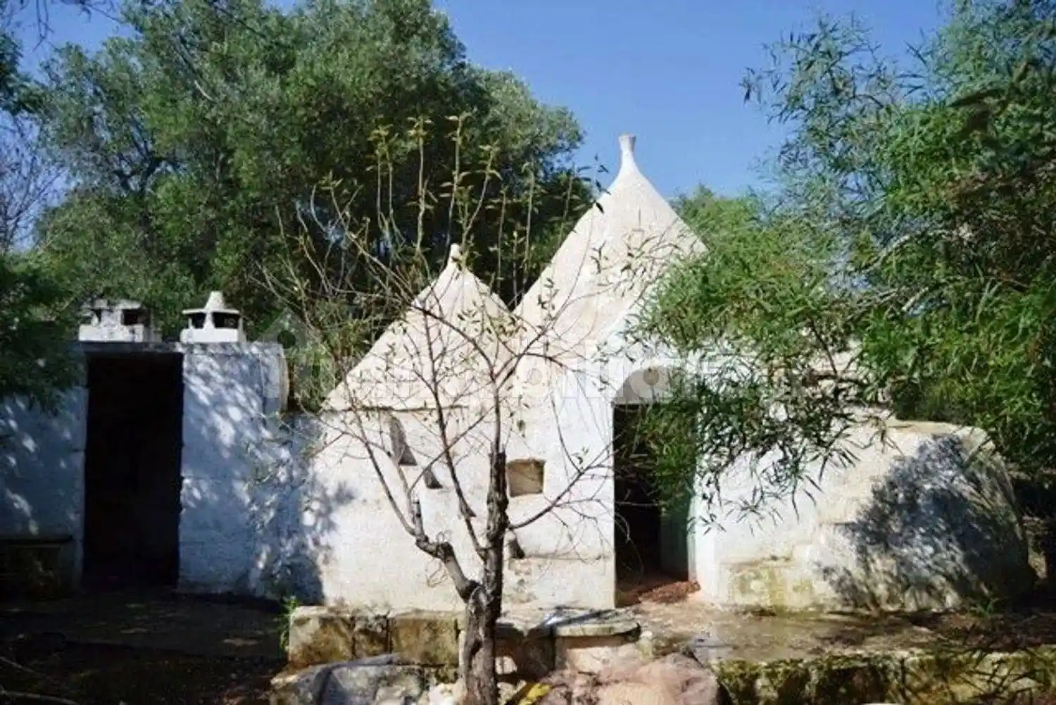 Rustico - Casale in vendita a San Michele Salentino