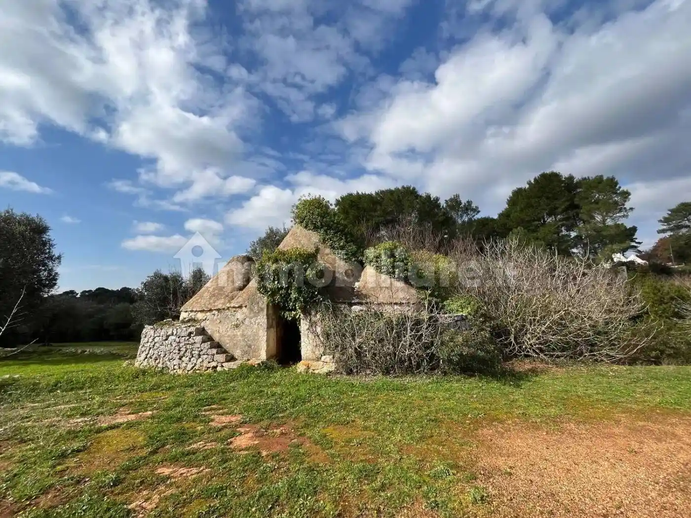 Rustico - Casale in vendita a Ceglie Messapica