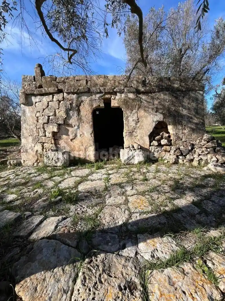 Rustico - Casale in vendita a San Vito dei Normanni