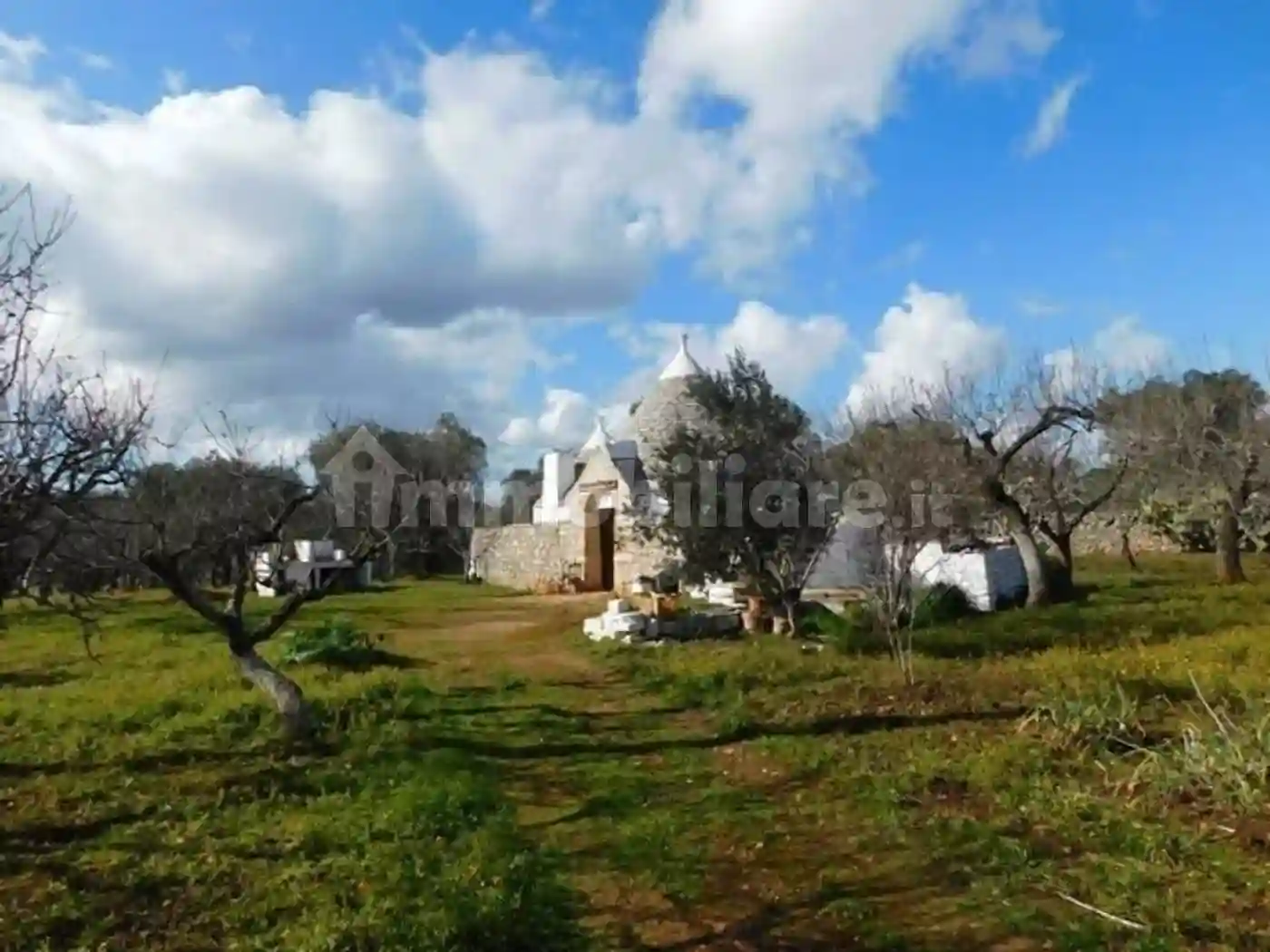 Rustico - Casale - foto 3