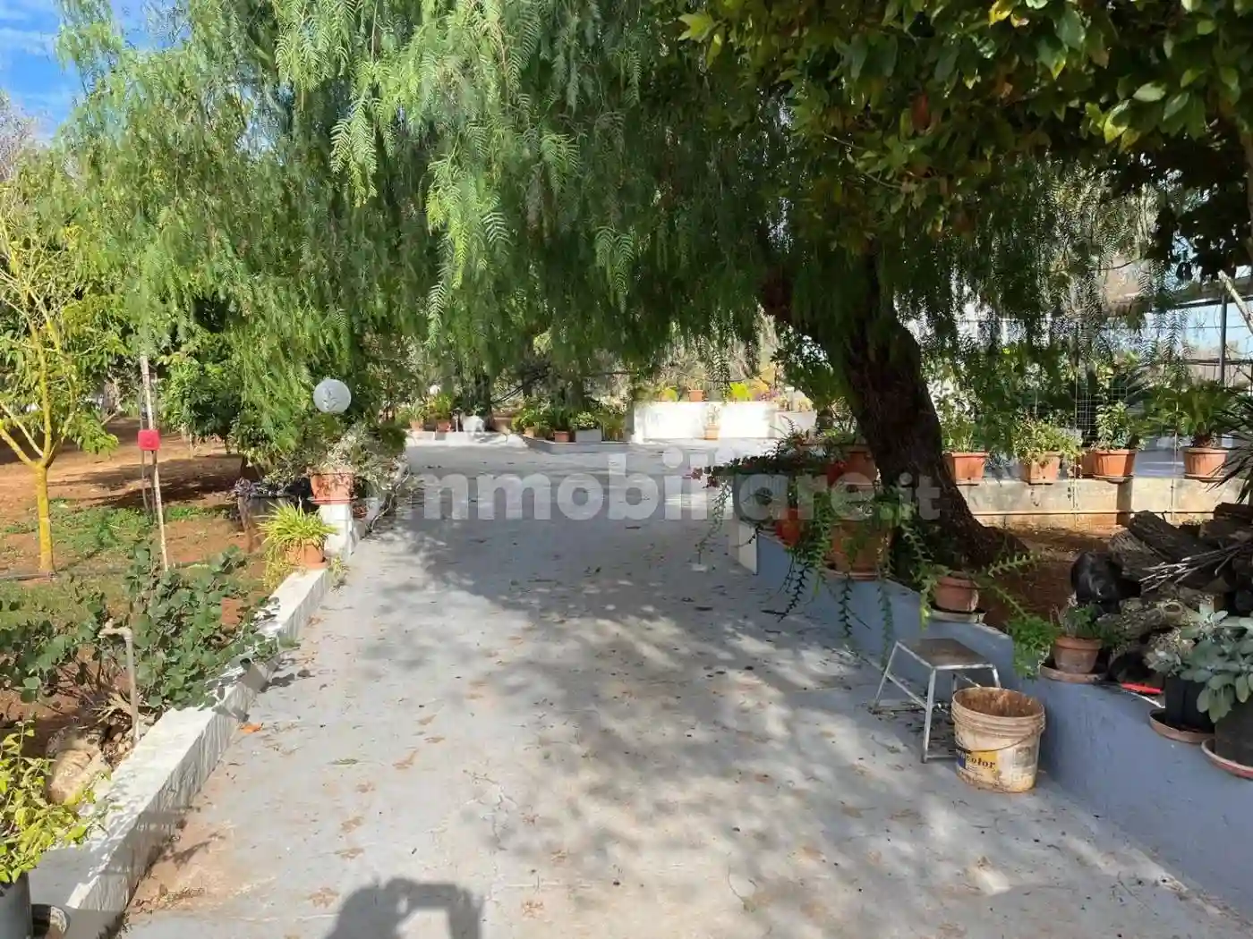 Rustico - Casale - foto 5