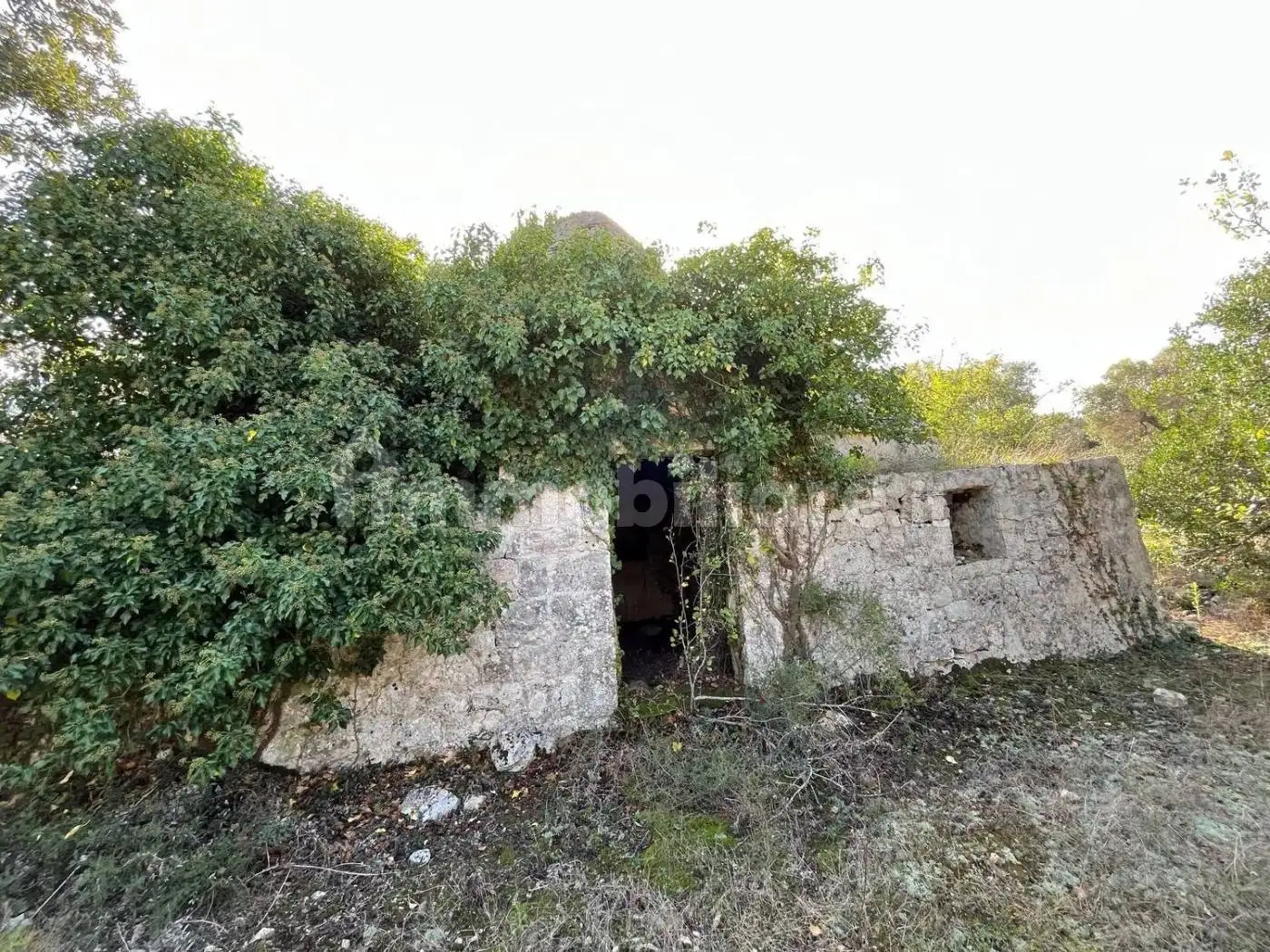 Rustico - Casale in vendita a Brindisi