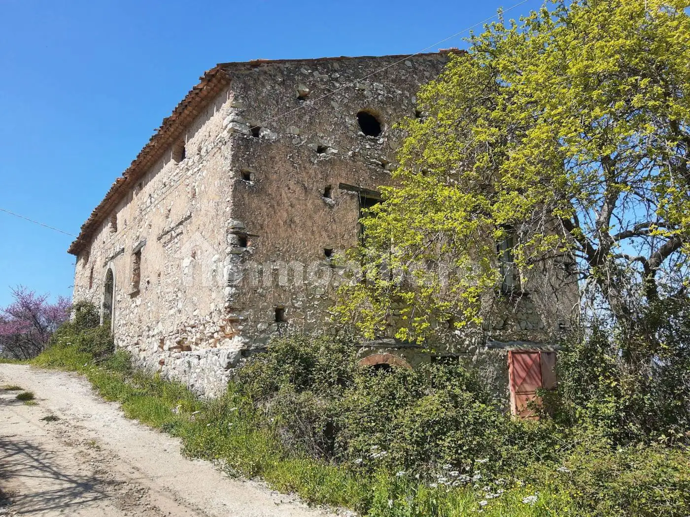 Rustico - Casale in vendita a Roccadaspide