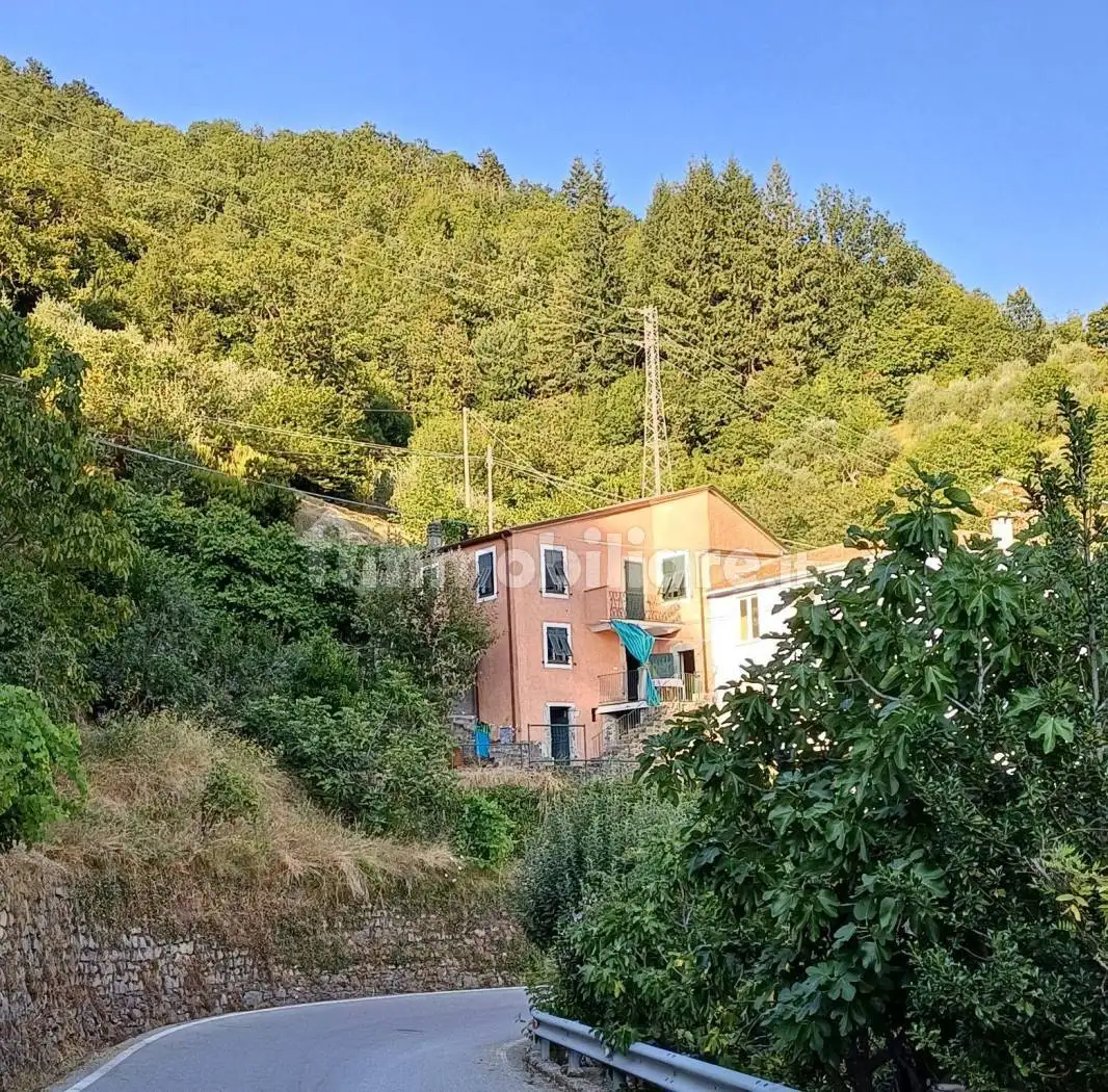 Rustico - Casale in vendita a Mezzanego