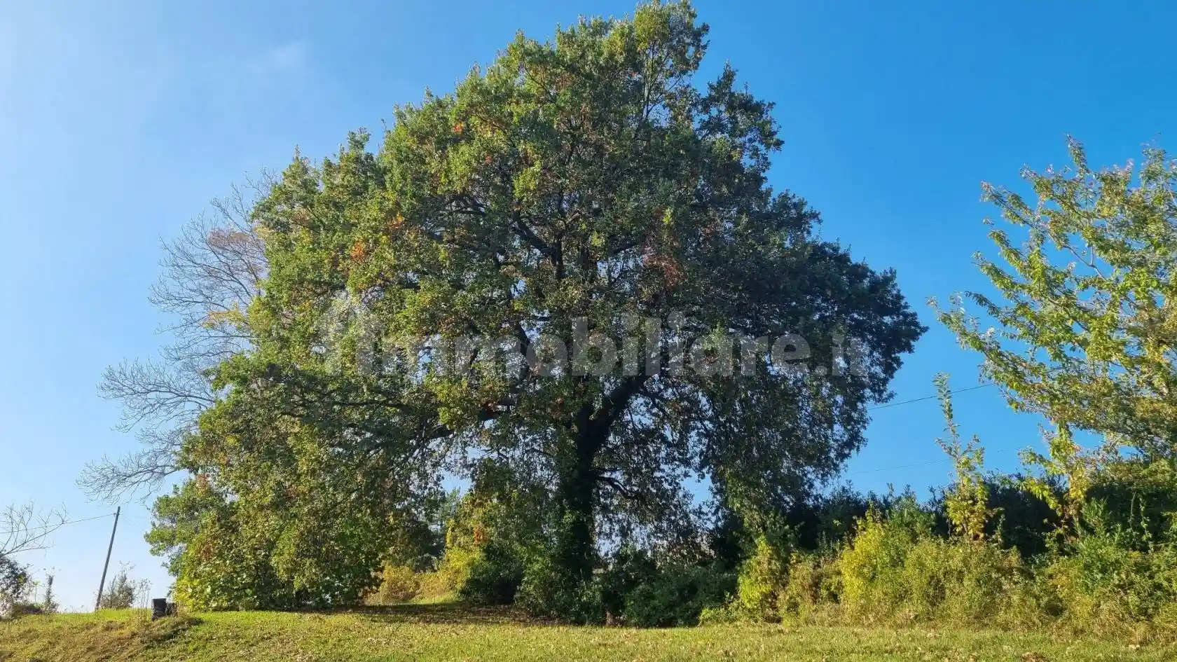 Palazzo - Edificio - foto 5