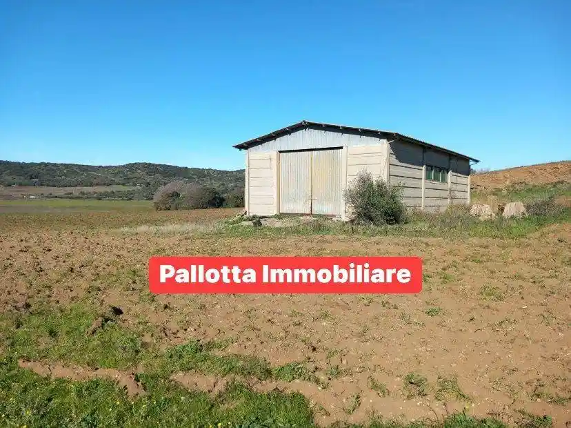 Loft in vendita a Capalbio