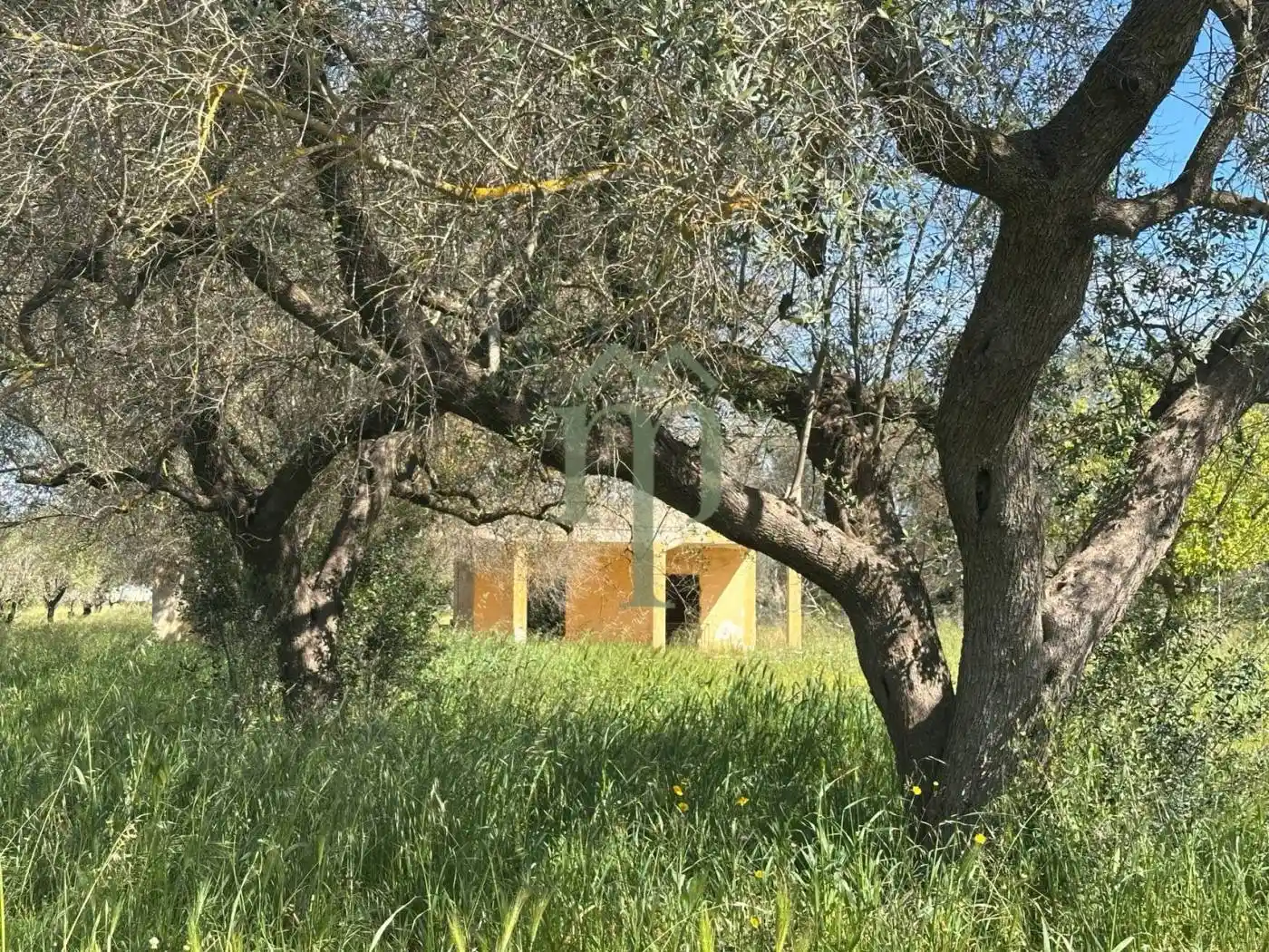 Rustico - Casale in vendita a Francavilla Fontana