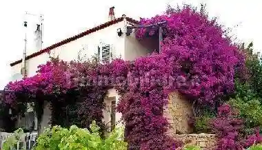 Terratetto unifamiliare via Mucchi Bianchi, Baja Sardinia, Arzachena - foto 4