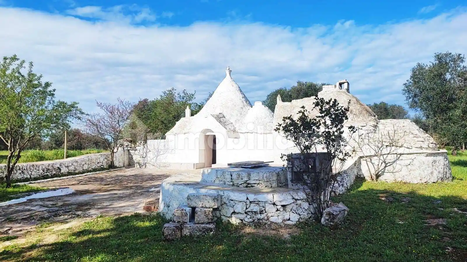 Rustico - Casale in vendita a Martina Franca