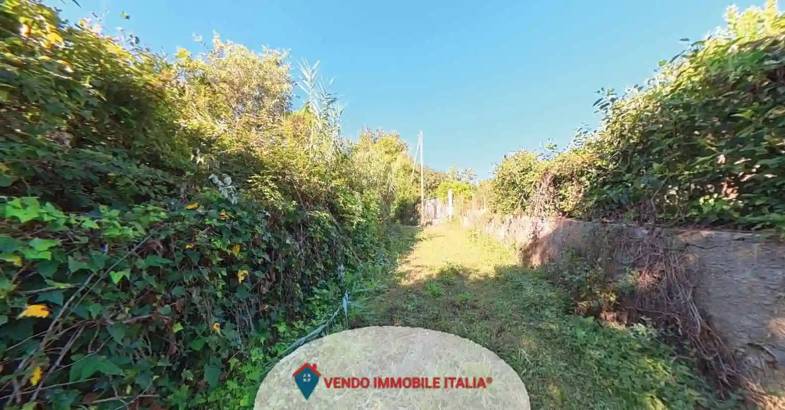 Palazzo - Edificio - foto 3